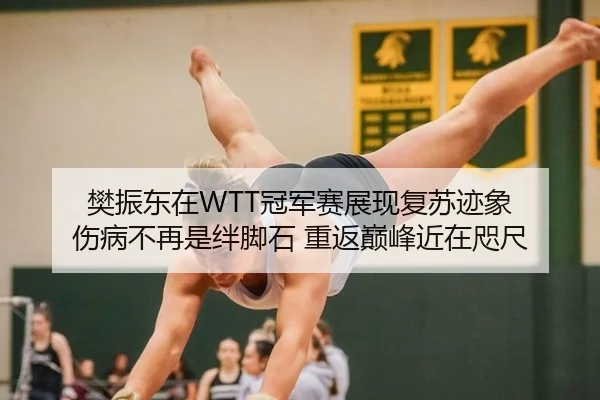 樊振东在WTT冠军赛展现复苏迹象 伤病不再是绊脚石 重返巅峰近在咫尺